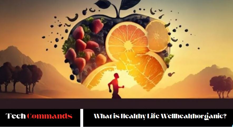 What is Healthy Life Wellhealthorganic