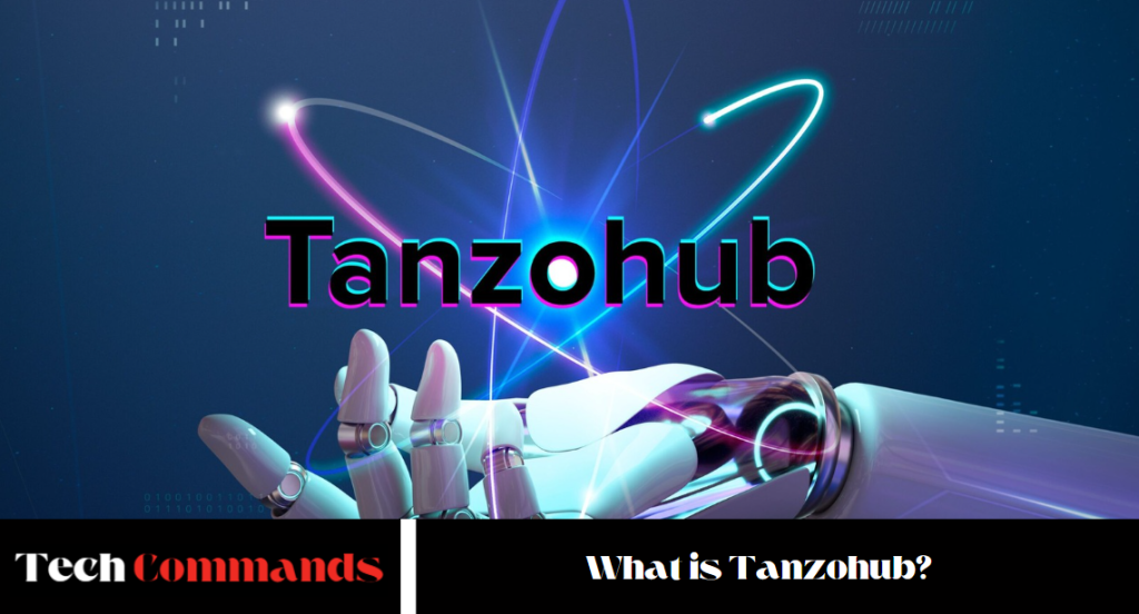 What is Tanzohub